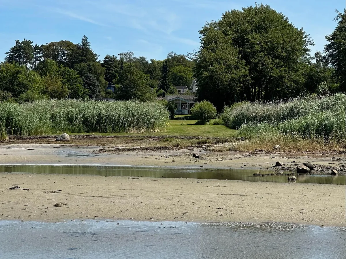 Sommerhuset ved Dråby Strand en sommerdag set fra stranden med grønne siv og have